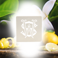 Neroliander Perfume Infused Soap Bar